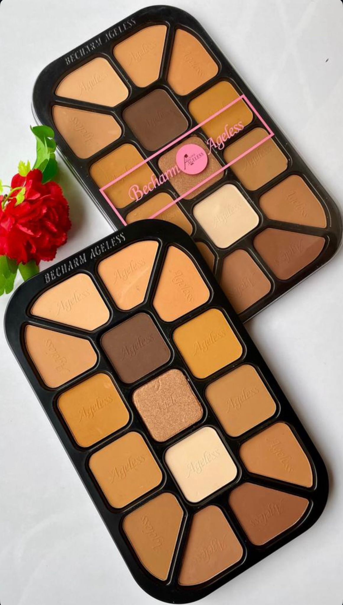Palette de poudres de finition - BECHARM
